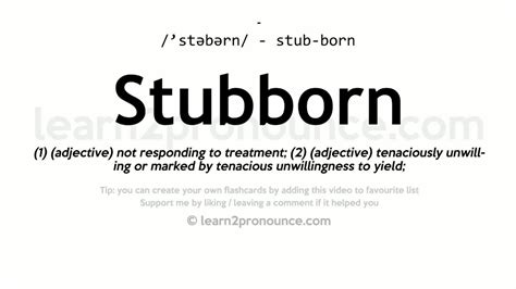 Stubborn Meaning .